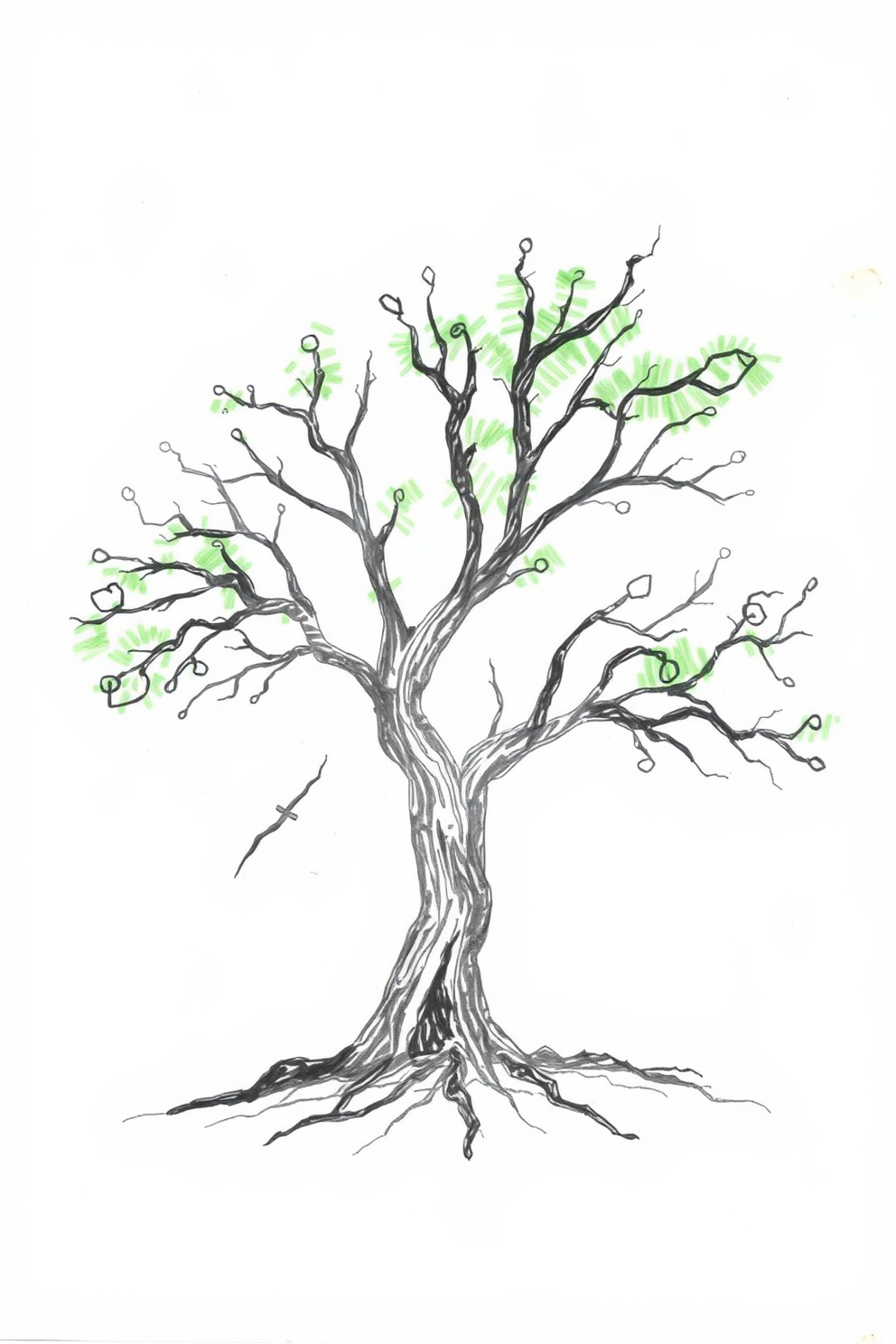 Abstract Tree Drawing