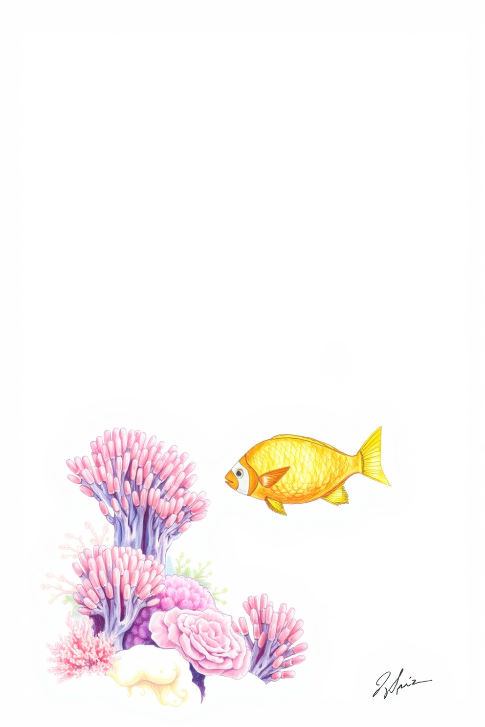 Coral with Fish Drawing