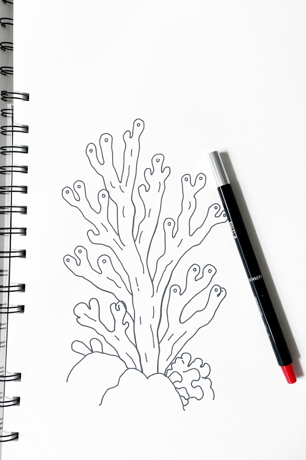 Doodle Coral Drawing