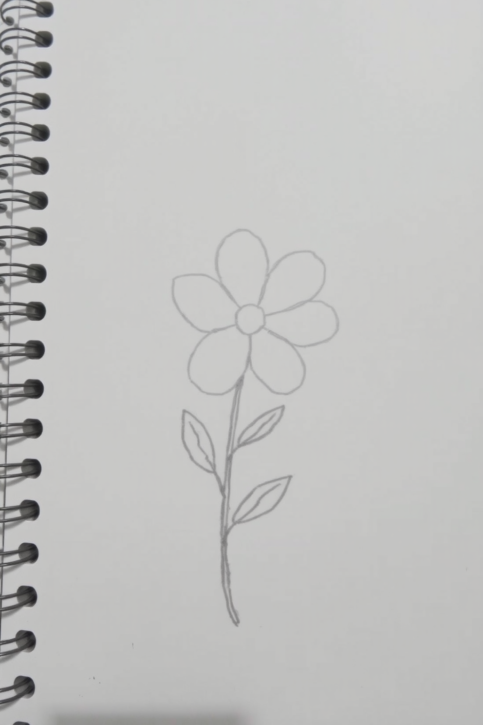 Easy Flower Sketch Drawing