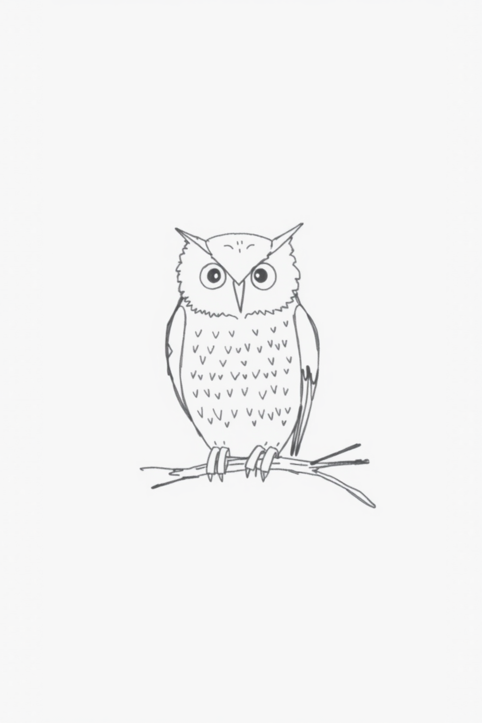 Minimalist Owl Sketch Drawing