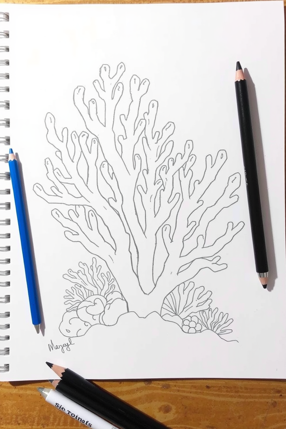 Monoline Coral Drawing