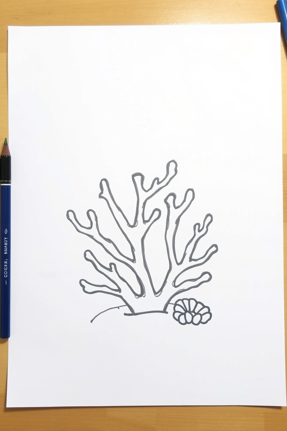 Simple Coral Drawing