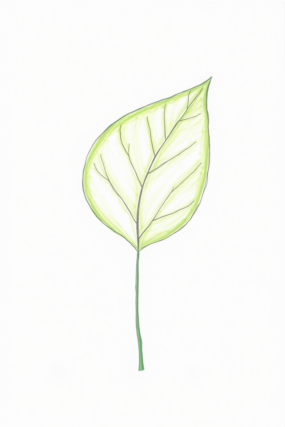 Simple Leaf Drawing