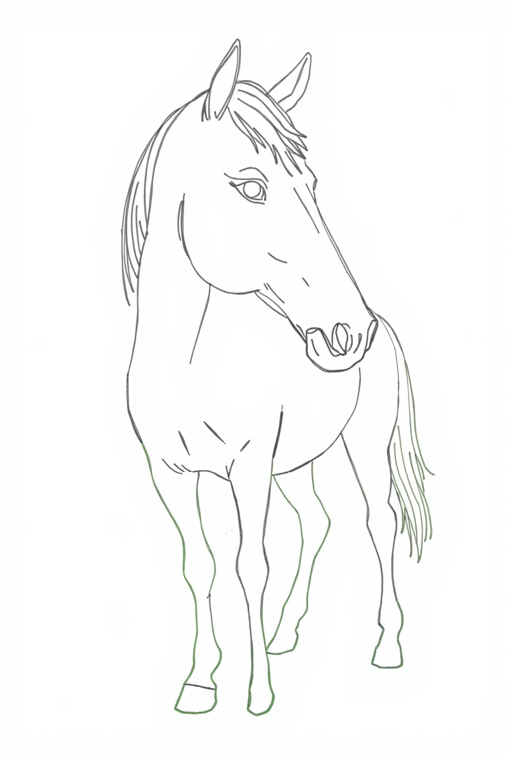 Simple horse line drawing