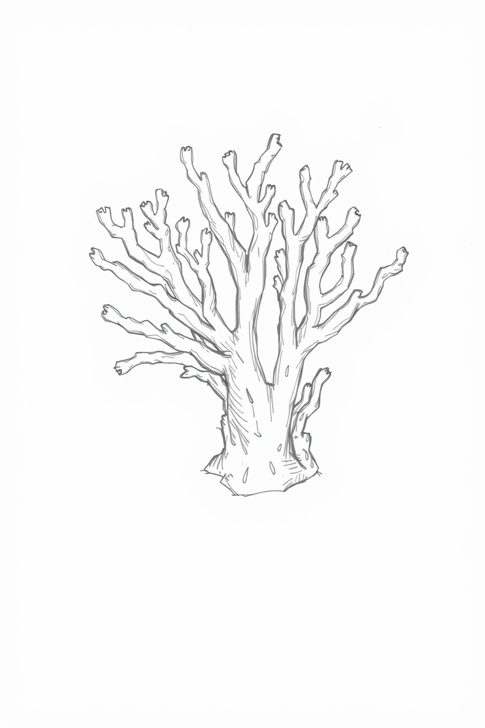 Sketch Coral Drawing
