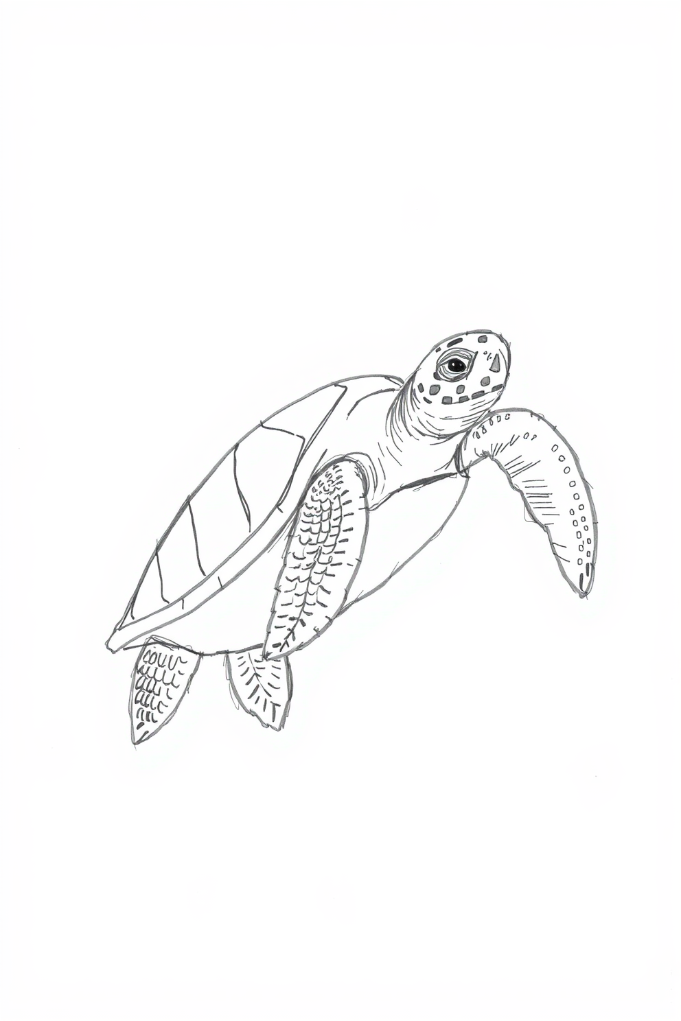 Sketch Drawing of a Sea Turtle Swimming