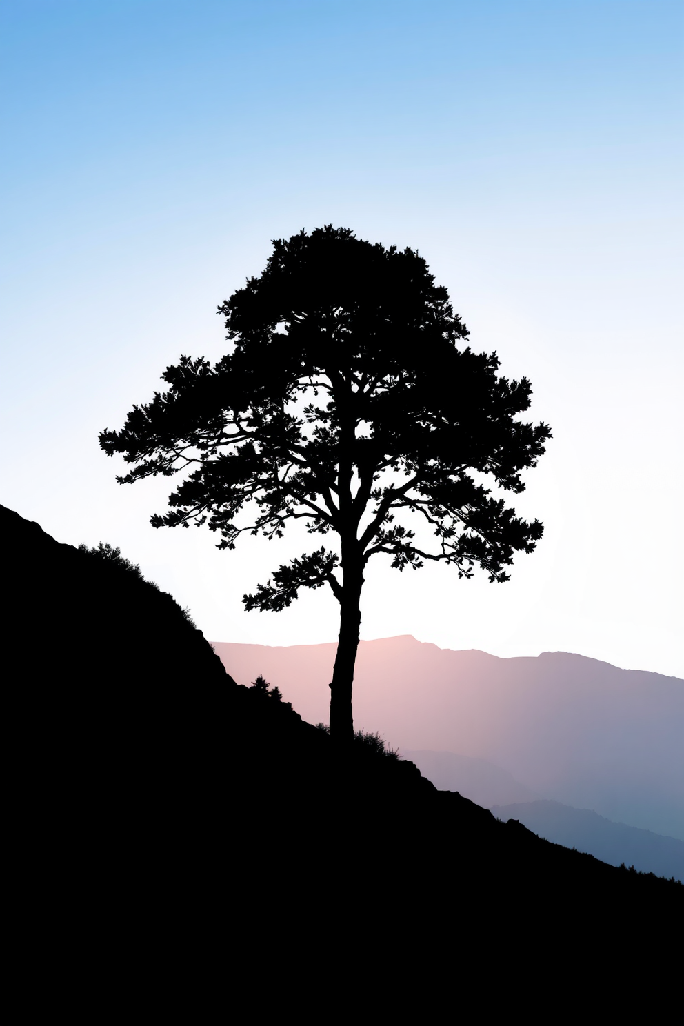 Tree silhouette drawing