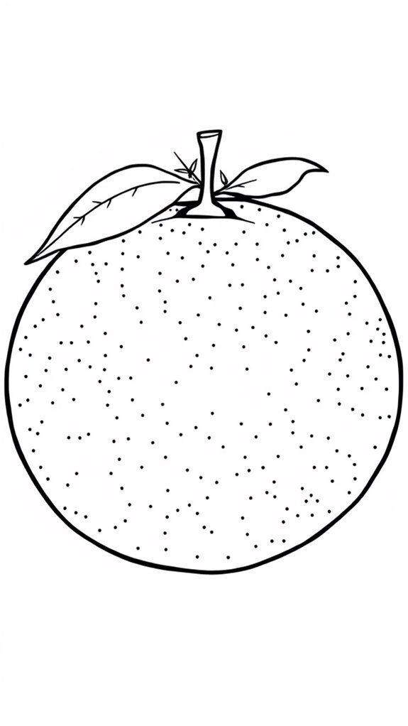 coloring page for oranges