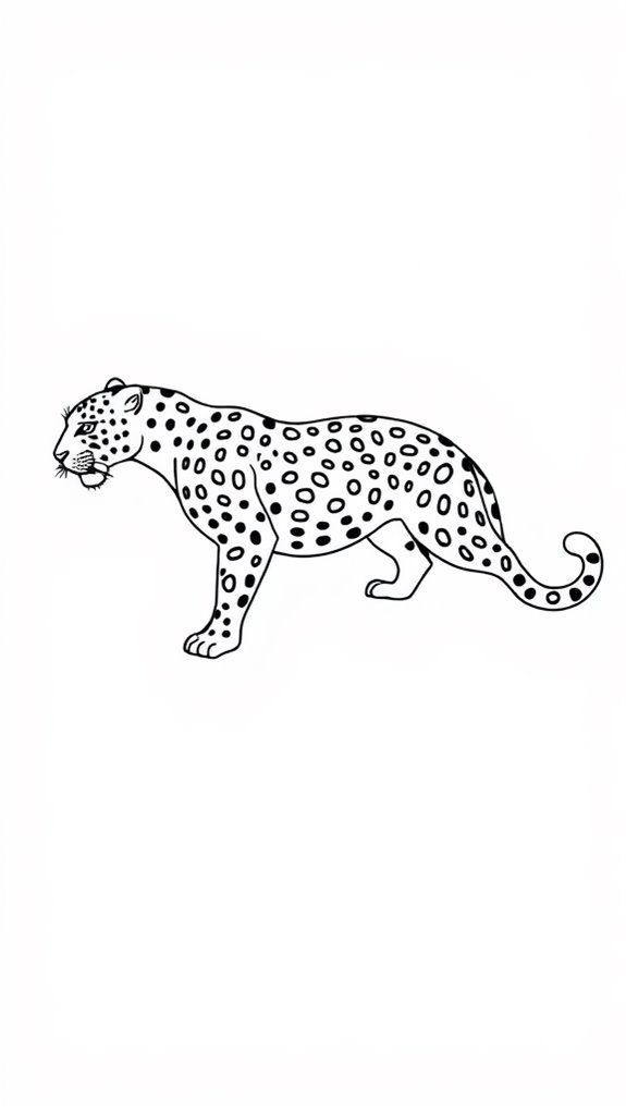 12 Inspiring Jaguar Drawing Ideas to Ignite Your Creativity ...