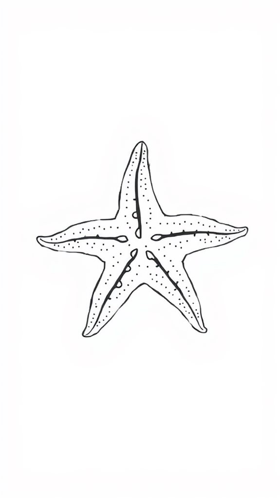 minimalist starfish line art