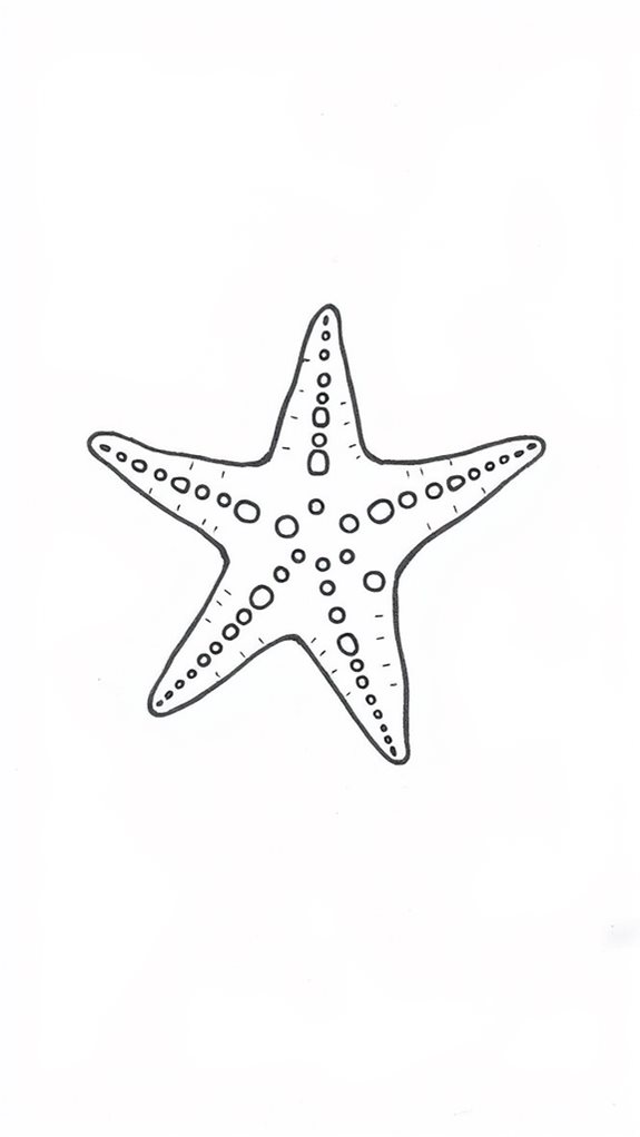 minimalistic starfish illustration