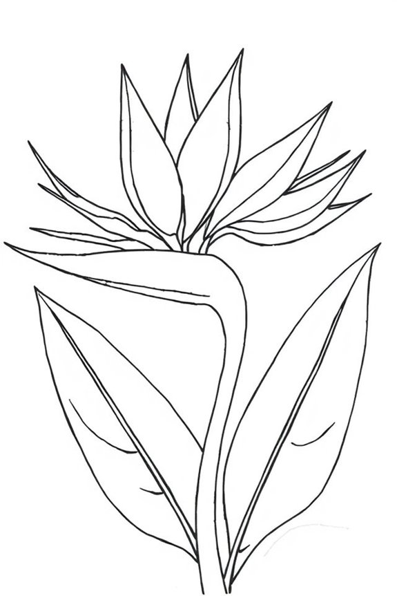 beginner friendly flower drawing