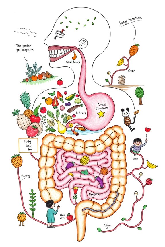 digestive system adaptations comparison