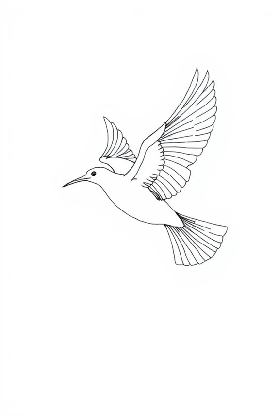 graceful bird flight sketch
