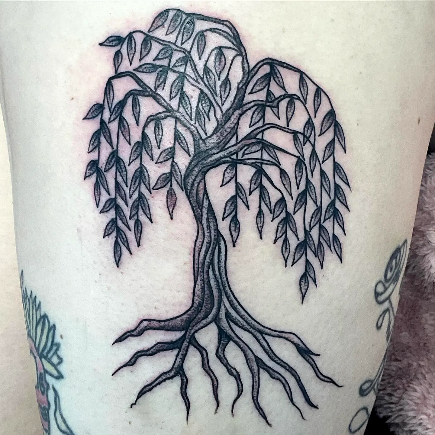 15 Striking Willow Tree Tattoo Ideas You ll Love