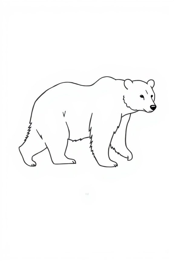 minimalist bear line drawing