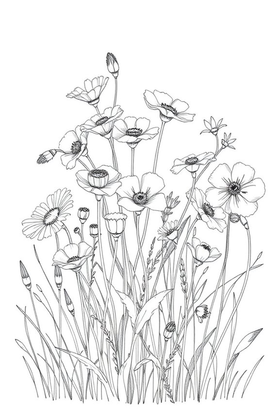 nature inspired artistic exploration