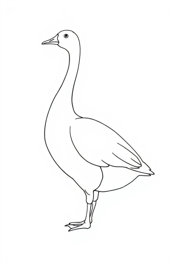 simple goose drawing project