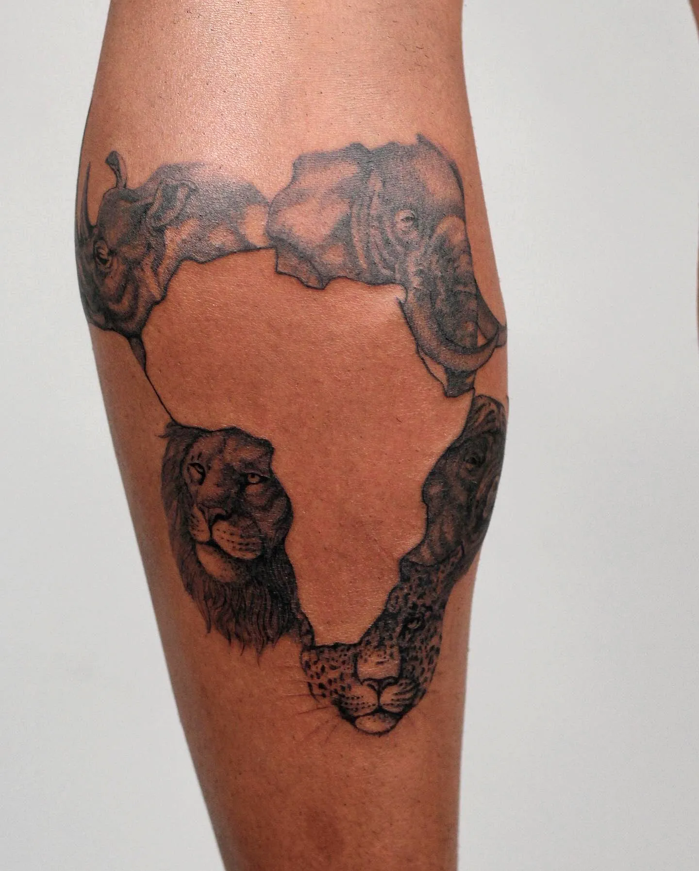 Africa Animal Heads Calf Tattoo