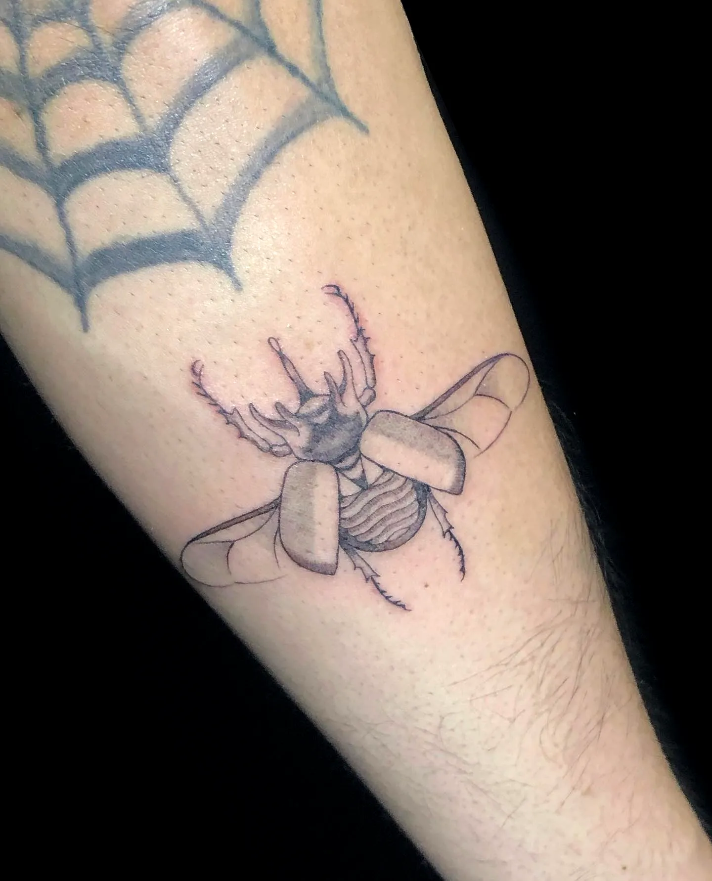 Bee Forearm Tattoo in Black and Gray