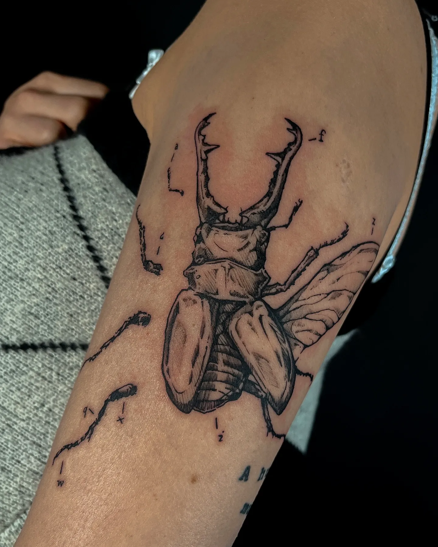 Beetle Upper Arm Tattoo in Vintage Style