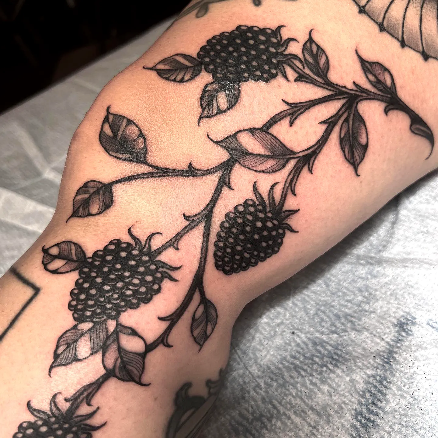 15 Striking Blackberry Tattoo Ideas for Unique Ink Inspiration