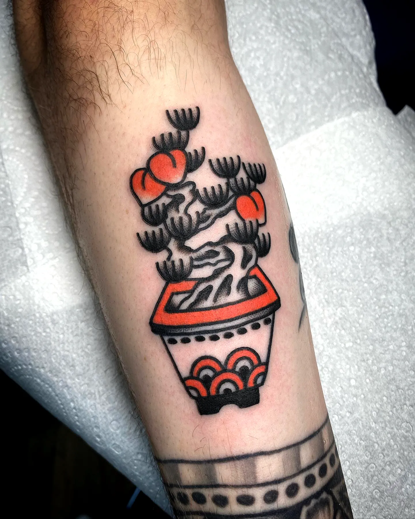 Bonsai Tree Forearm Tattoo with Red Fruit