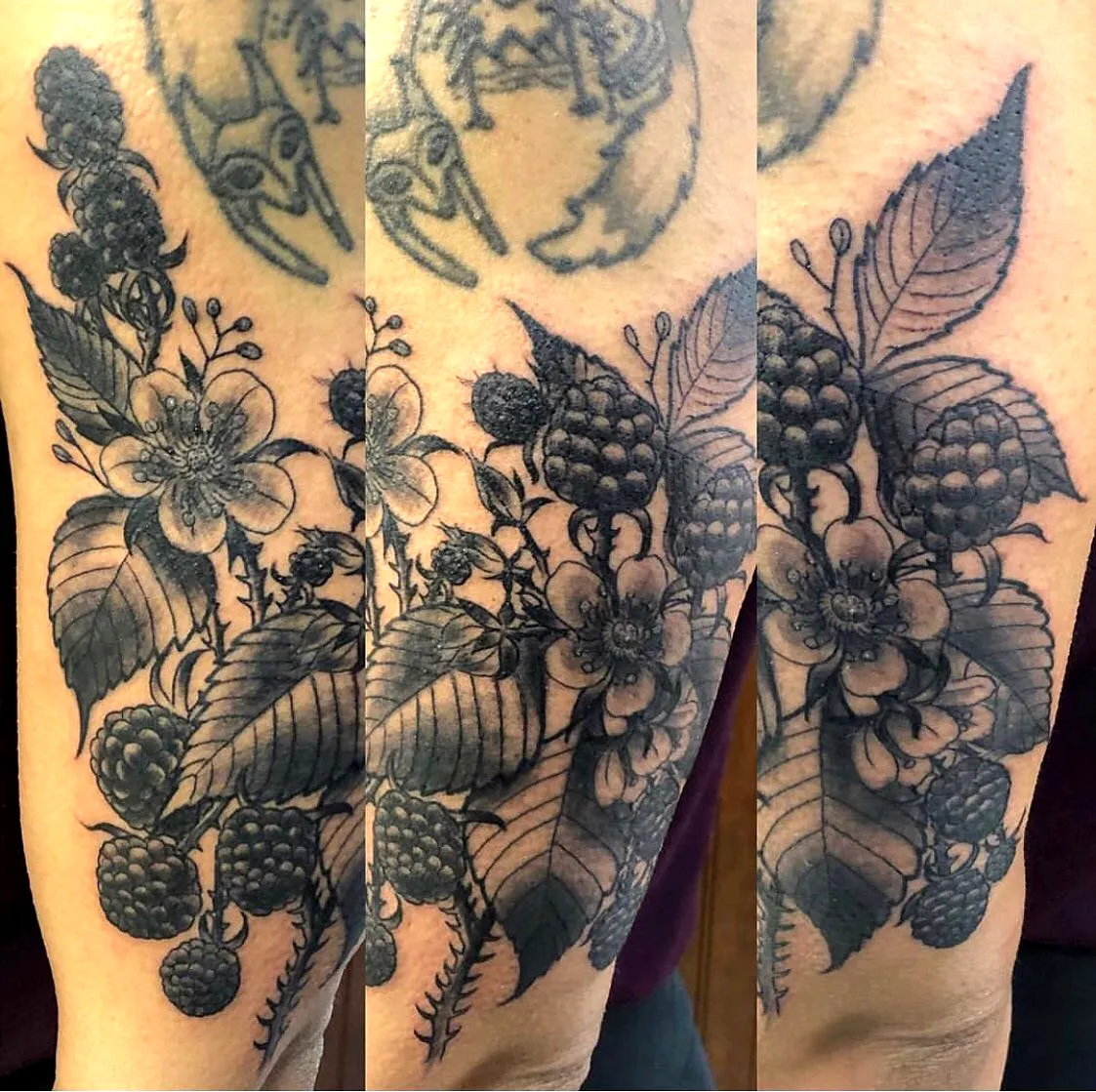 15 Striking Blackberry Tattoo Ideas for Unique Ink Inspiration