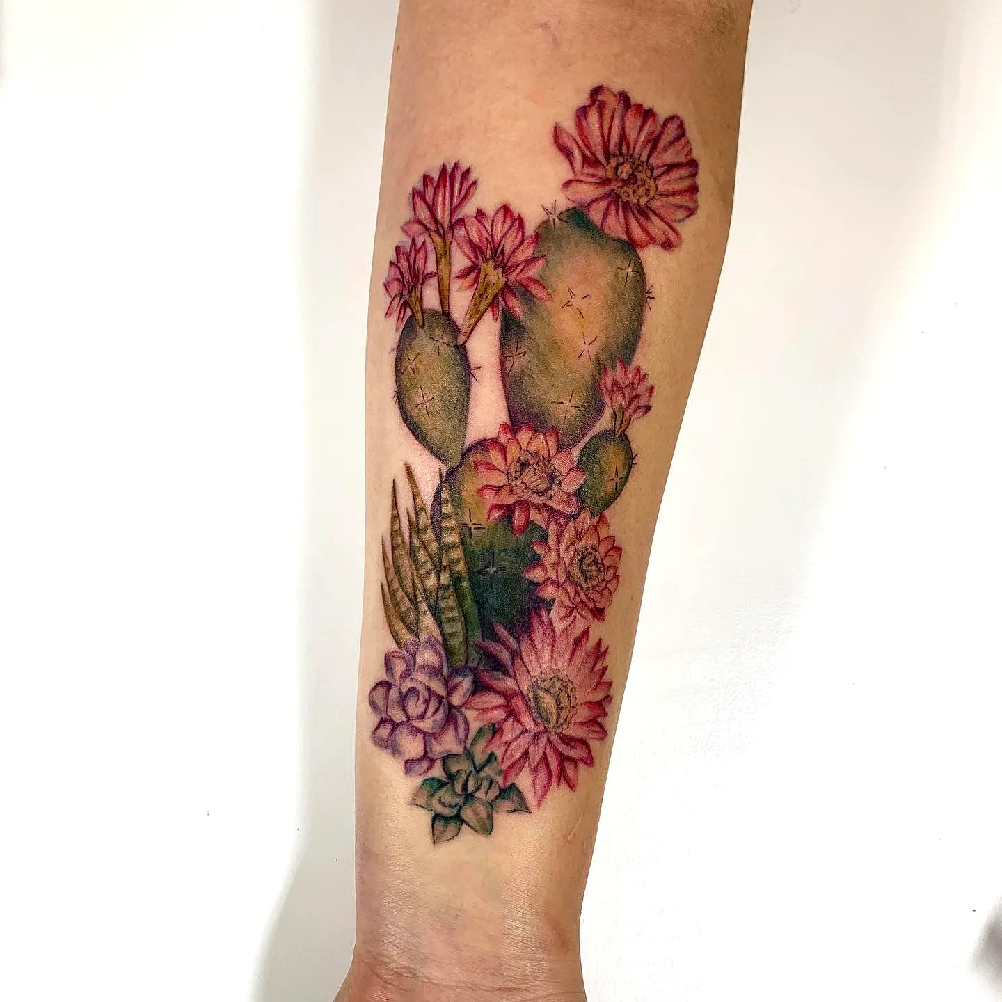 Cacti Forearm Tattoo with Pink Flowers