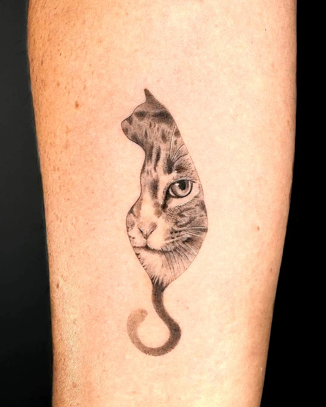 Cat Silhouette Inner Arm Tattoo