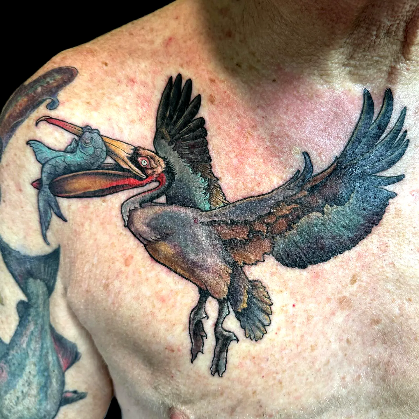 Colorful Pelican Chest Tattoo