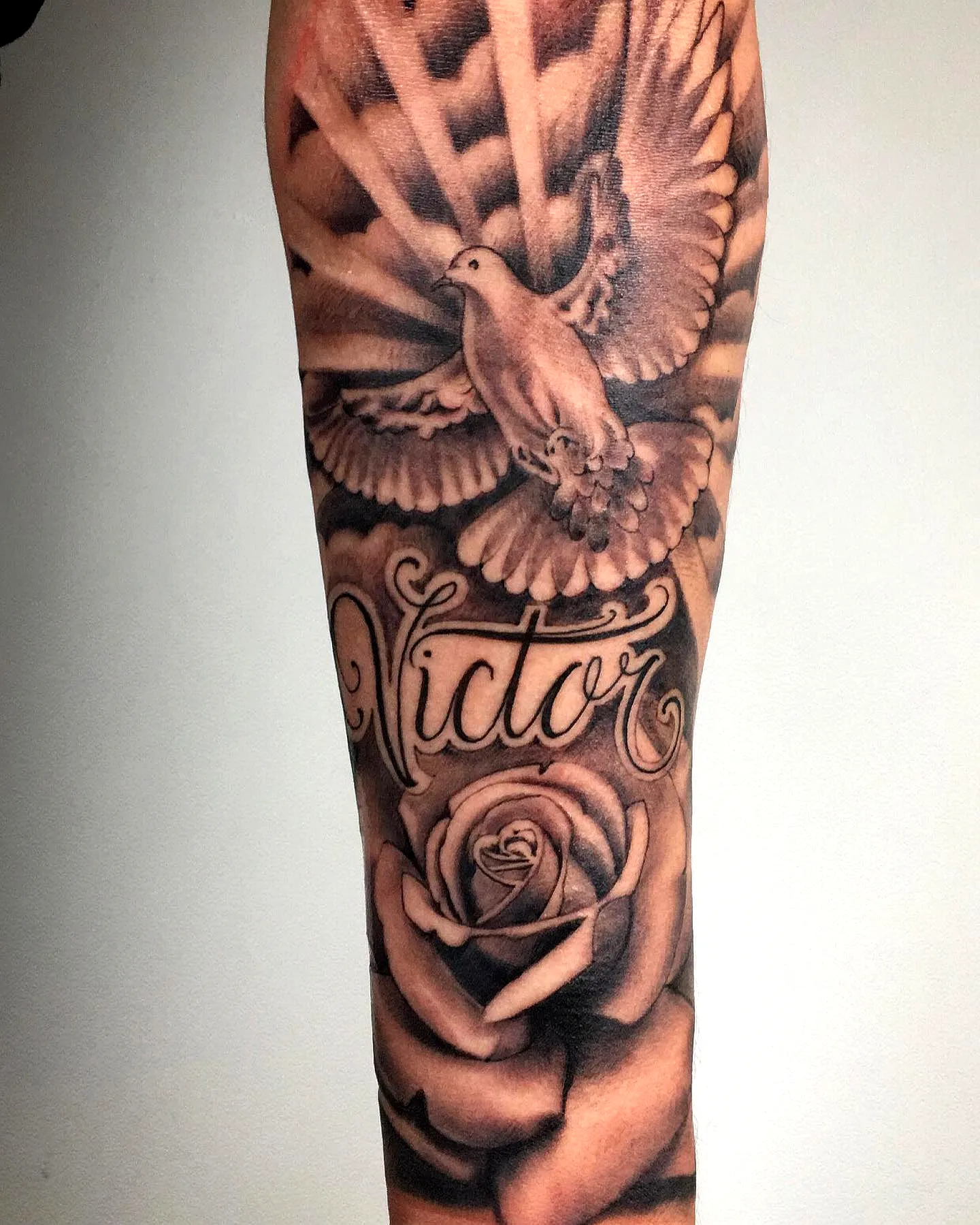 Dove Rose Arm Tattoo in Black and Gray