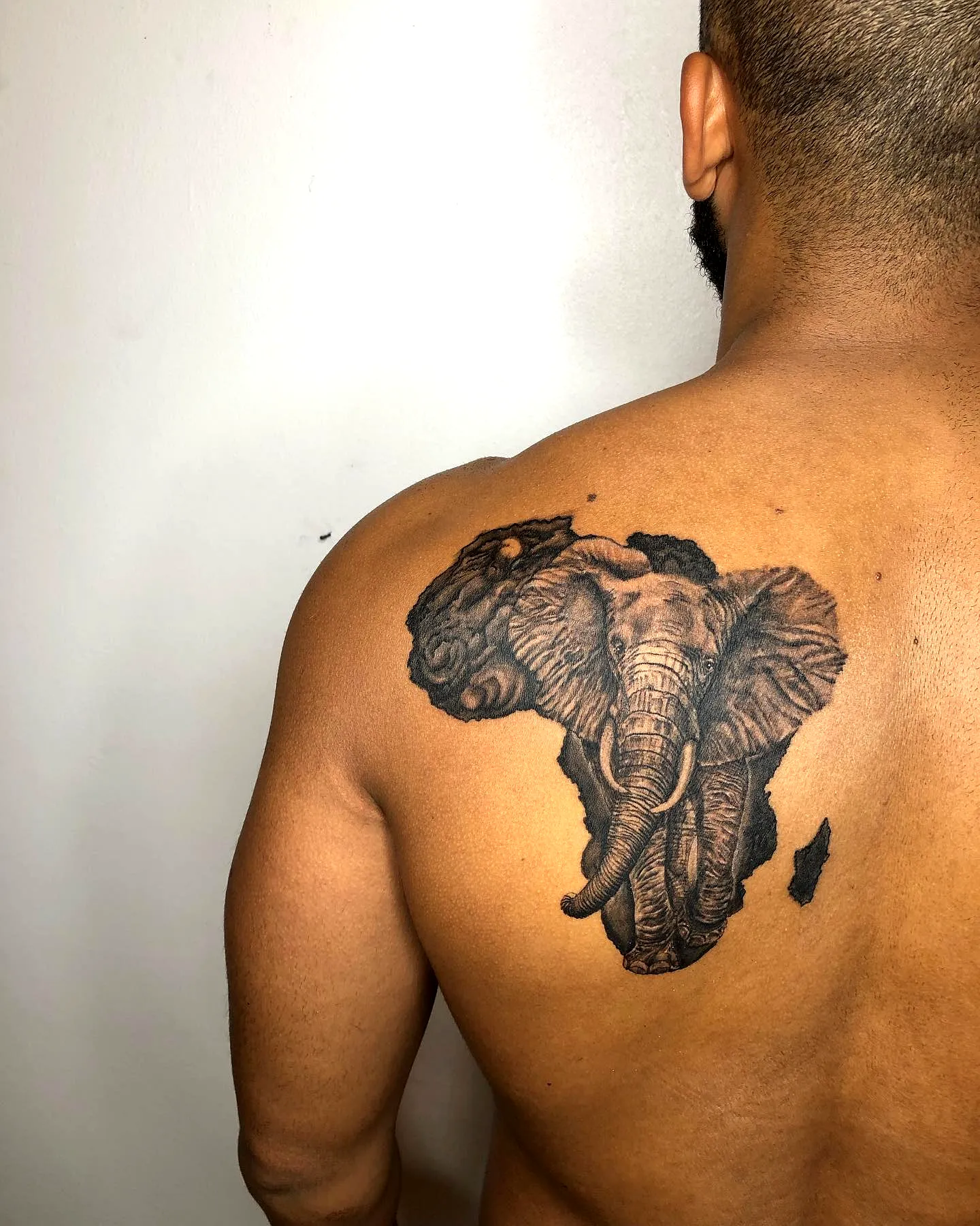 Elephant Upper Back Tattoo in Africa Outline