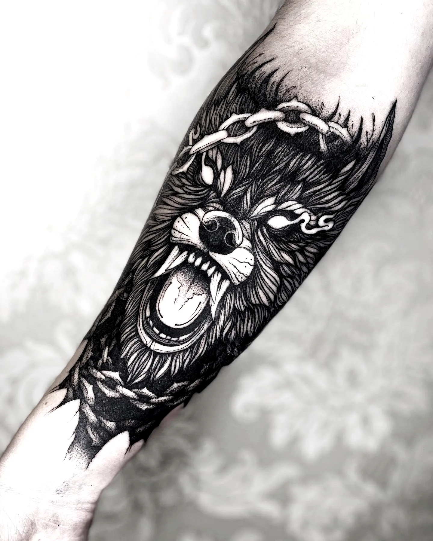 Fierce Wolf Forearm Tattoo in Black and Grey