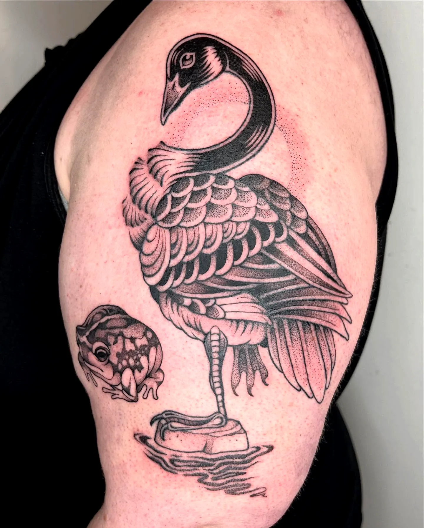 15 Unique Bird Tattoo Ideas Artistic Designs To Inspire You 15 Unique Bird Tattoo Ideas Artistic Designs To Inspire You