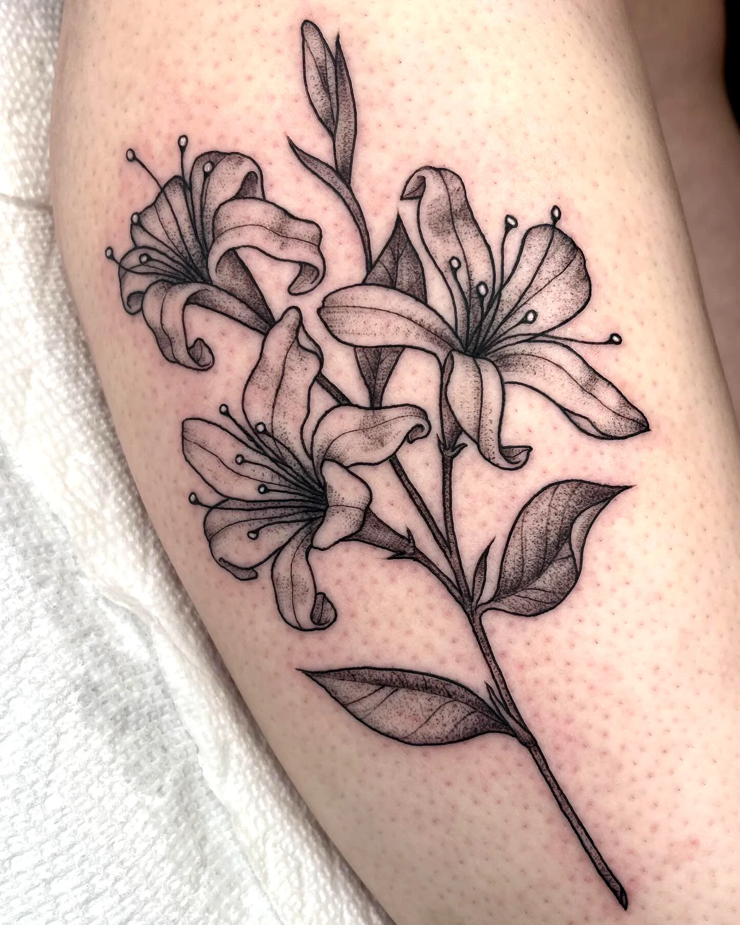Floral Lily Forearm Tattoo Design