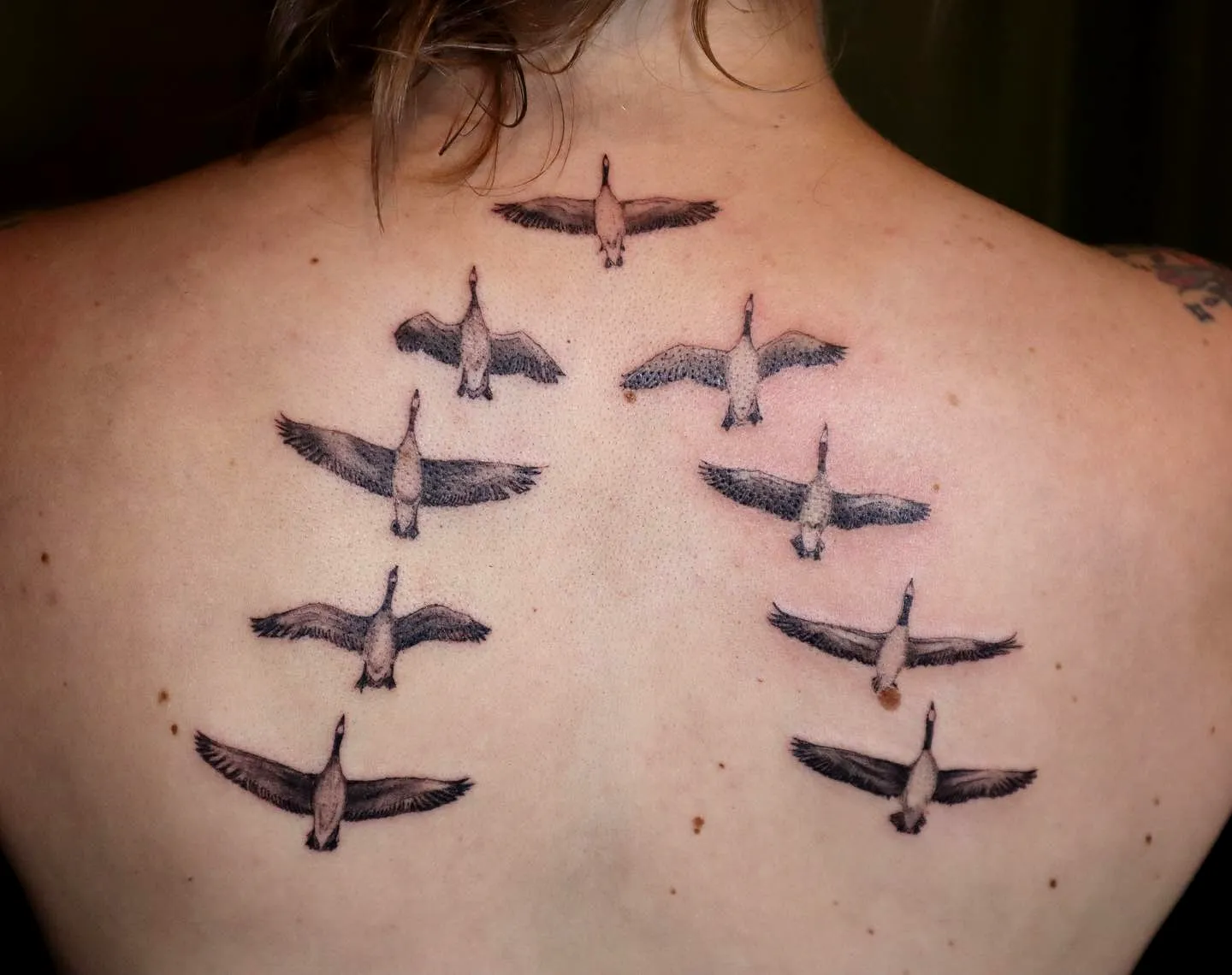 Geese Back Tattoo in Black and Grey
