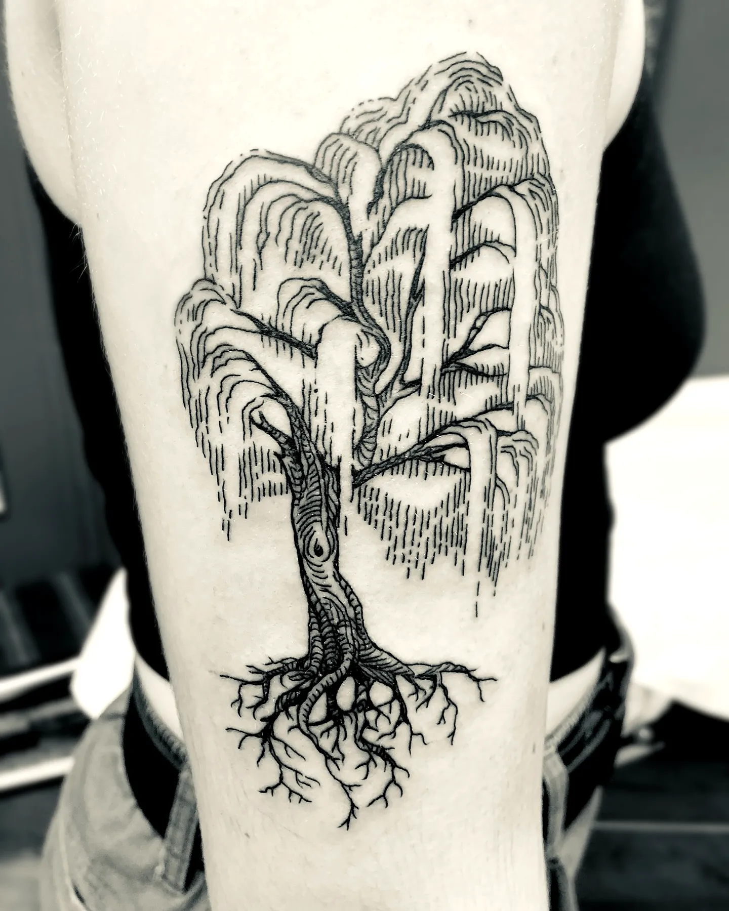 Intricate Black Tree Upper Arm Tattoo