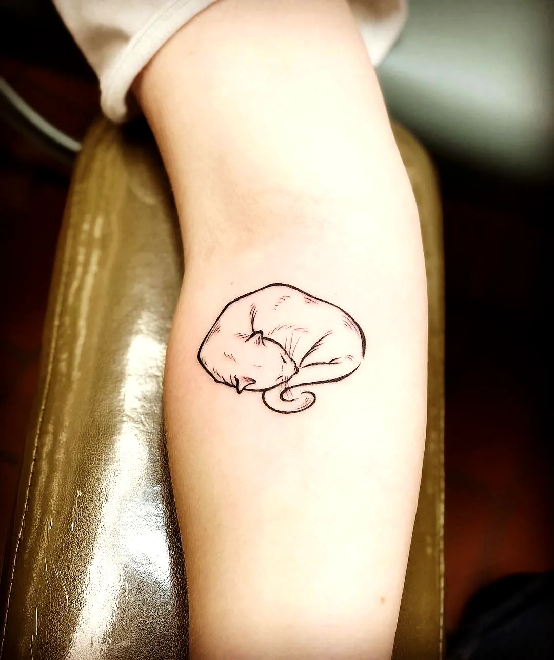 Minimalist Cat Forearm Tattoo Outline