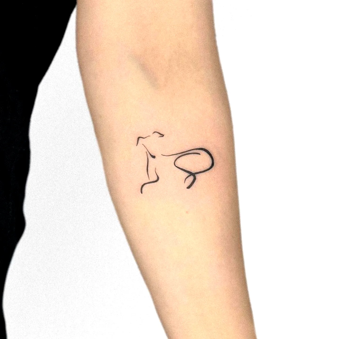 Minimalist Cat Inner Forearm Tattoo