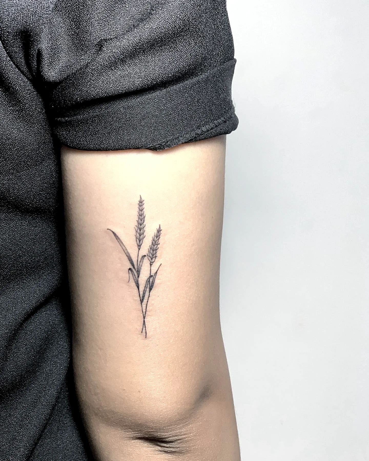 Minimalistic Wheat Arm Tattoo