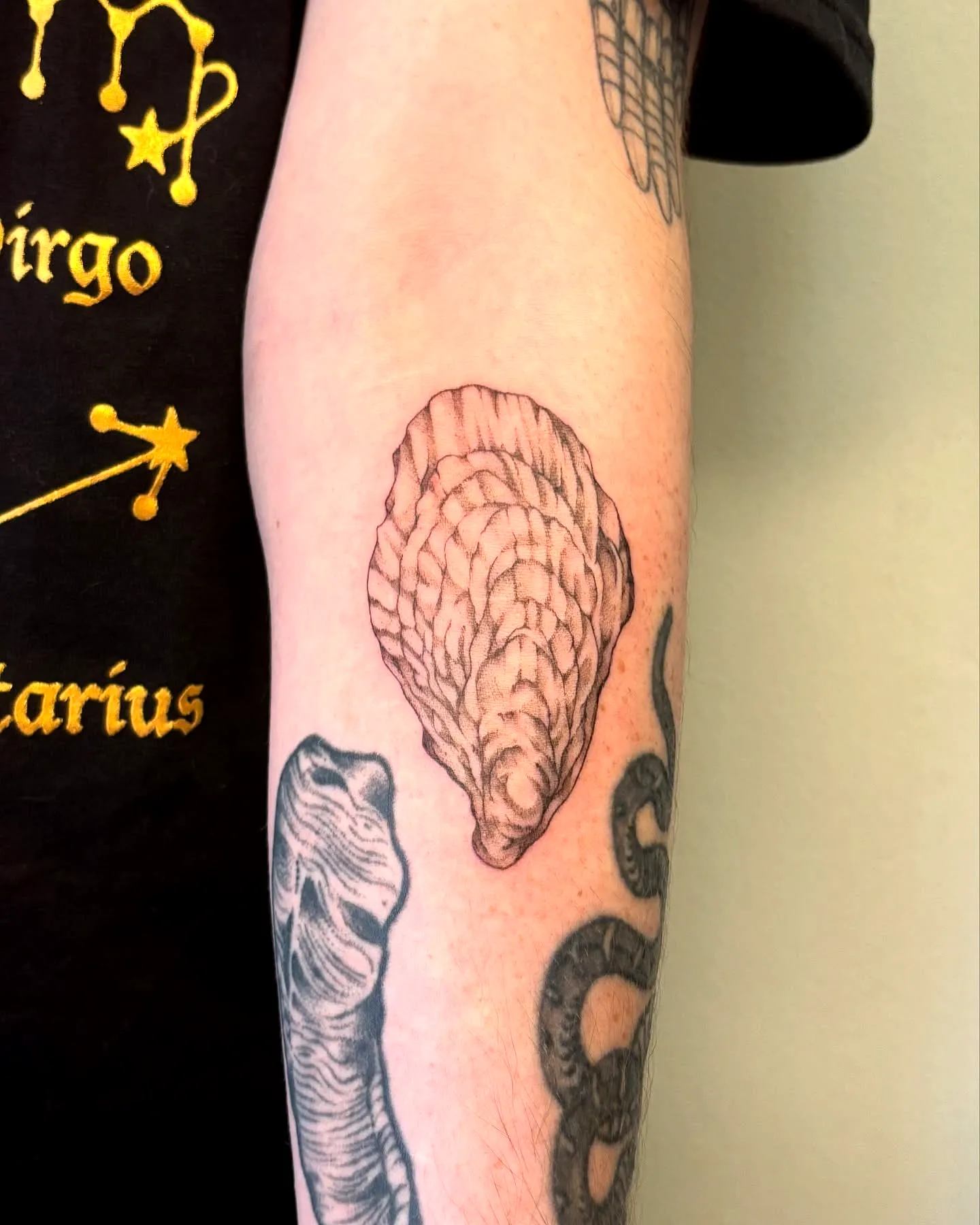 Muted Brown Oyster Shell Forearm Tattoo