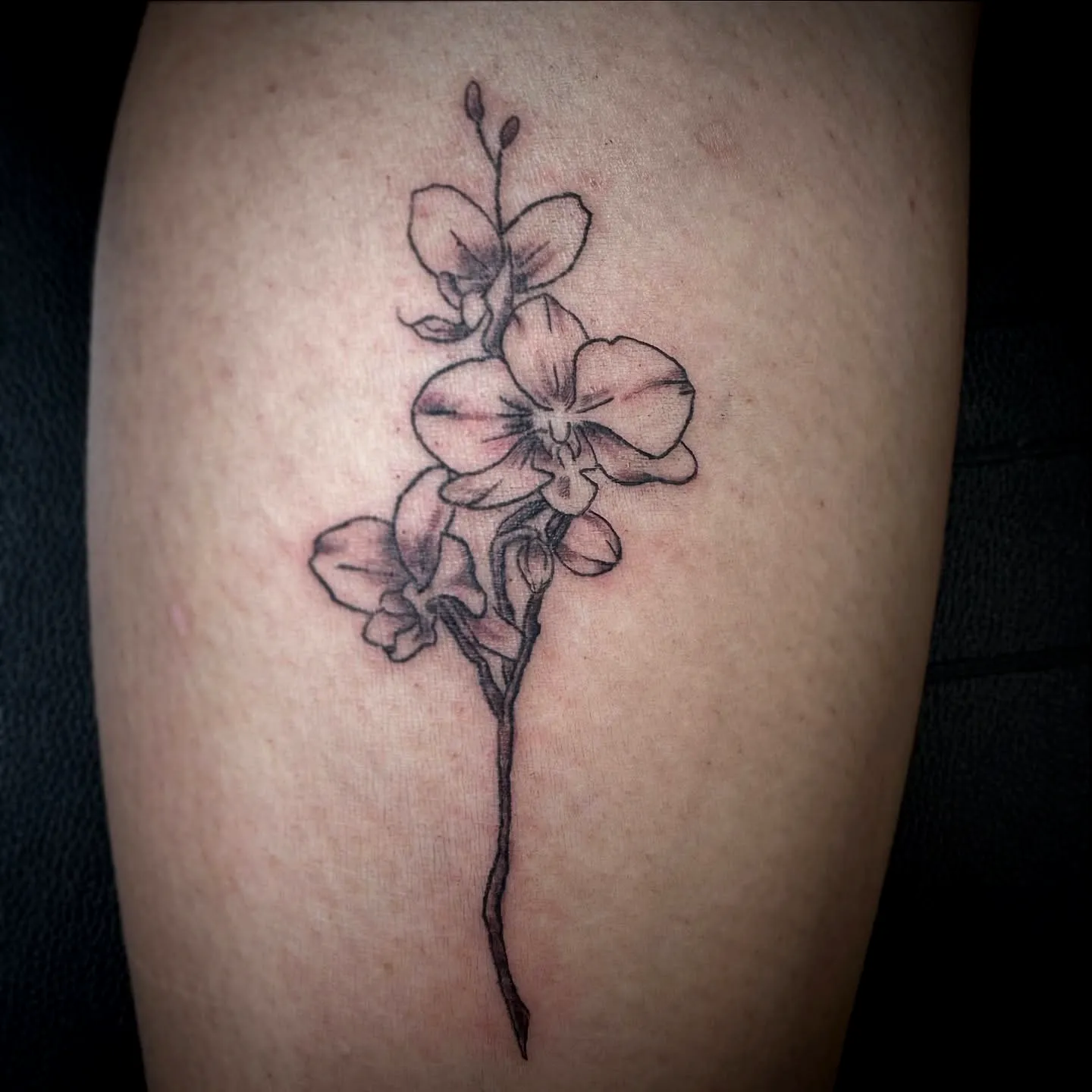 Orchid Arm Tattoo Minimalist Black Pink