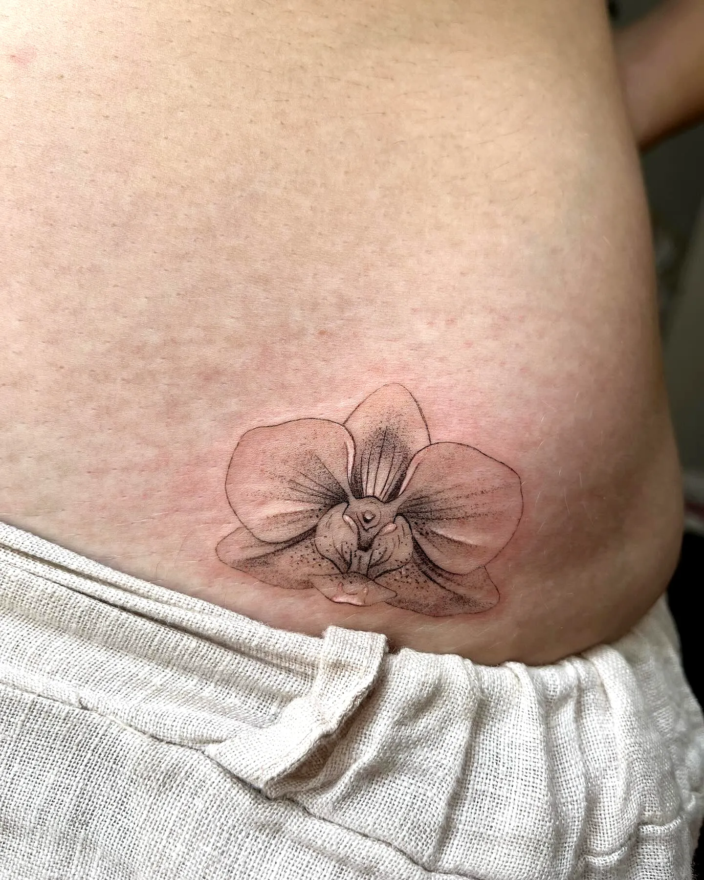 Orchid Stomach Tattoo in Black and Gray