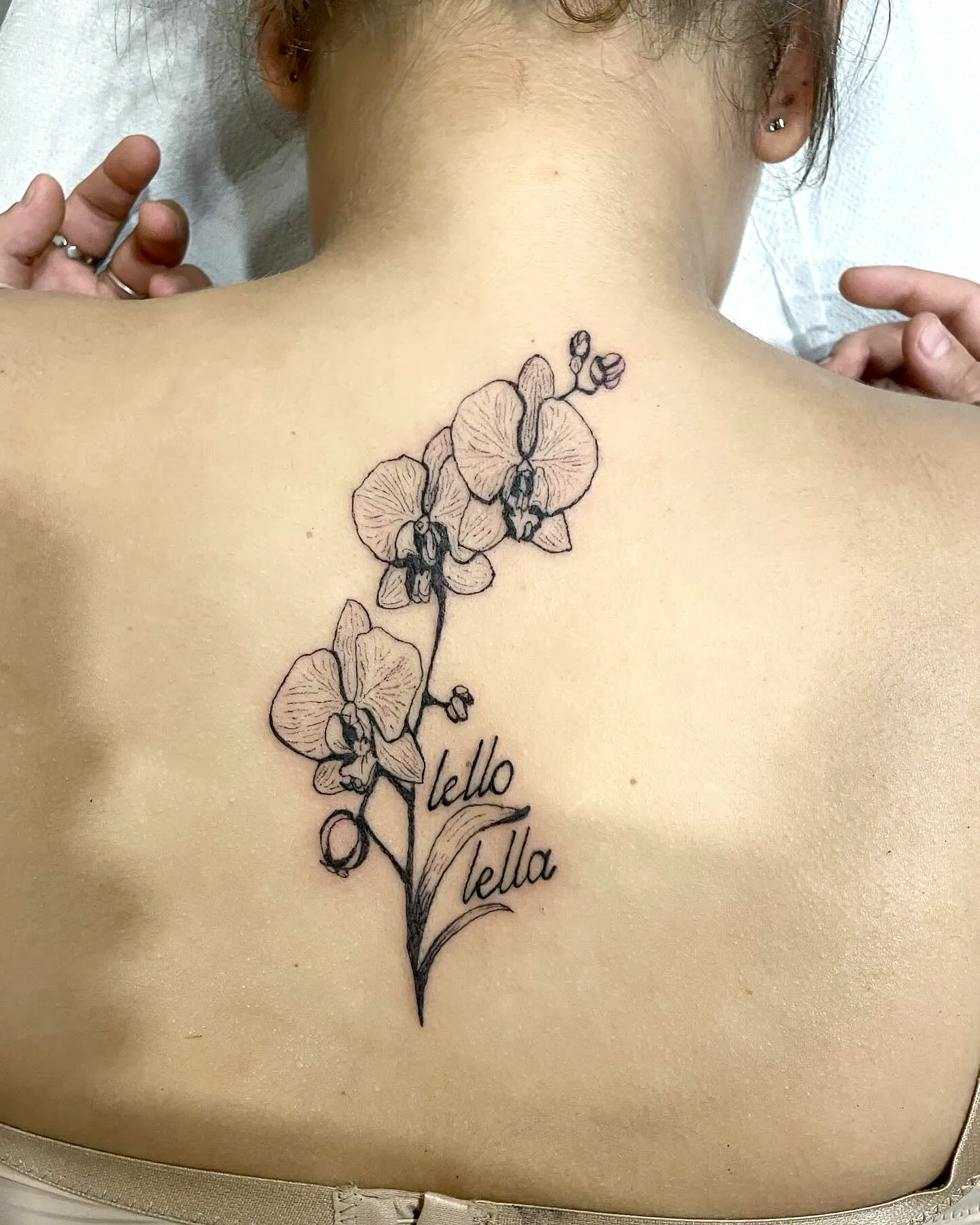 Orchid Upper Back Tattoo in Black Ink