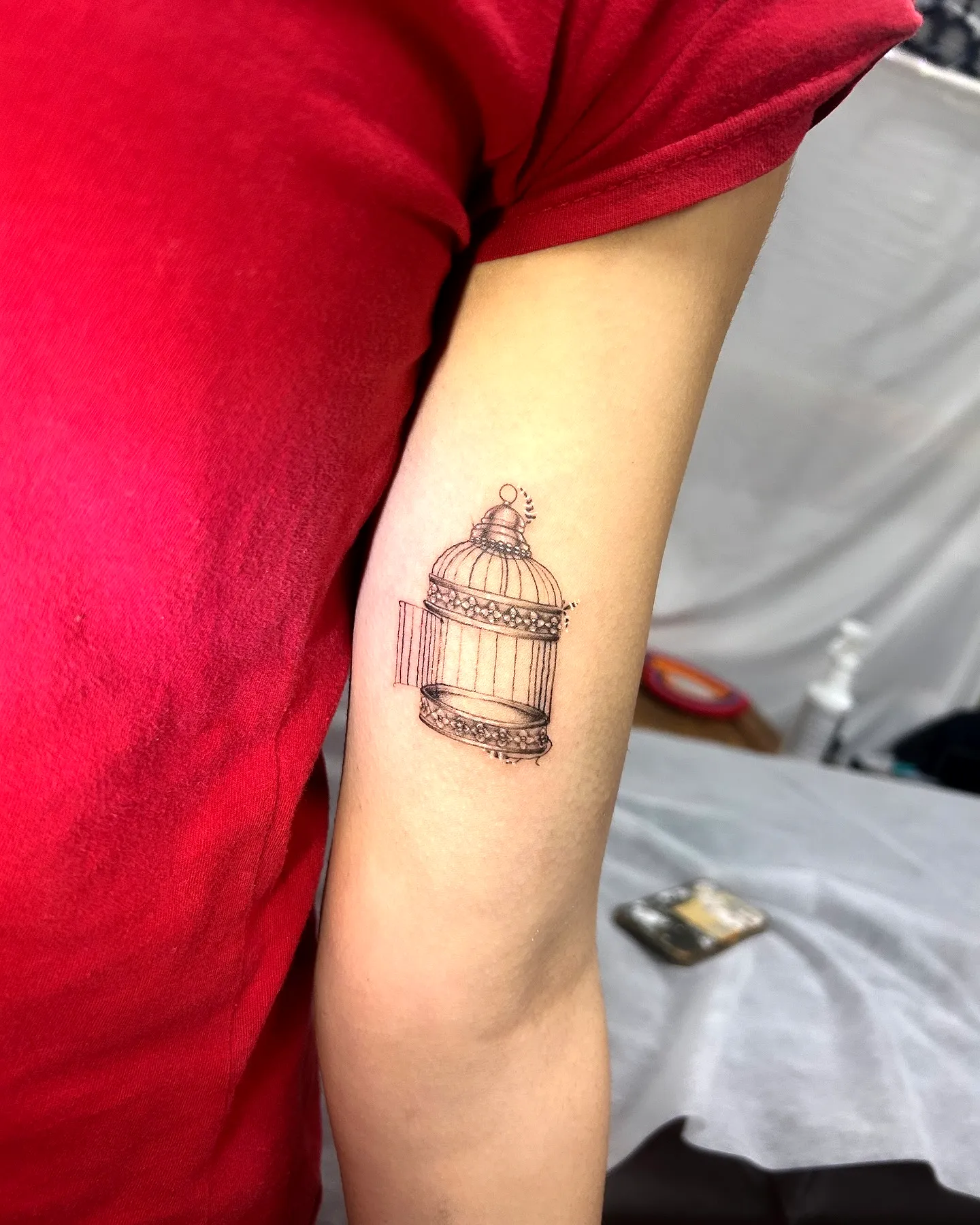 Ornate Birdcage Inner Arm Tattoo