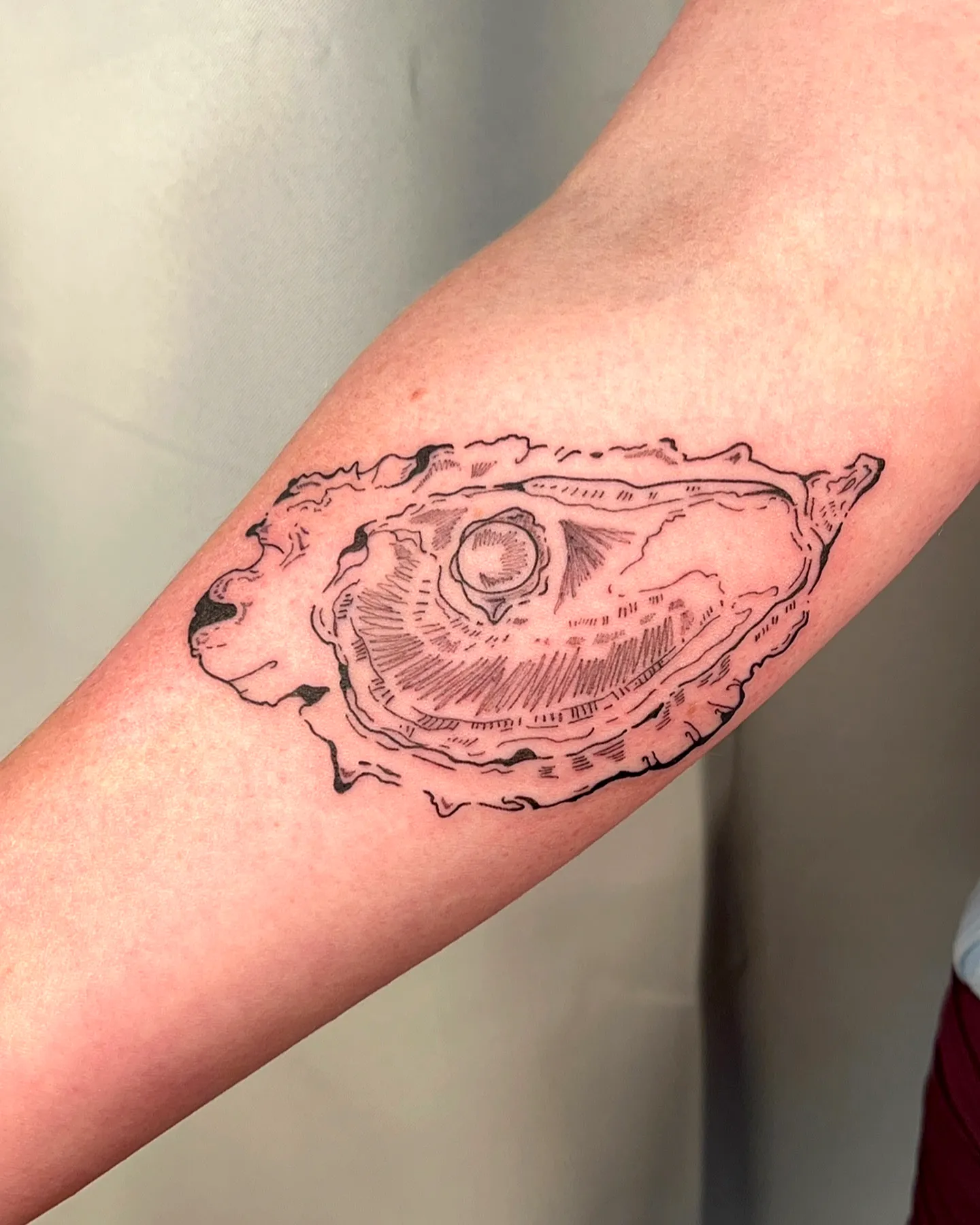 Oyster Forearm Tattoo in Black Line Art