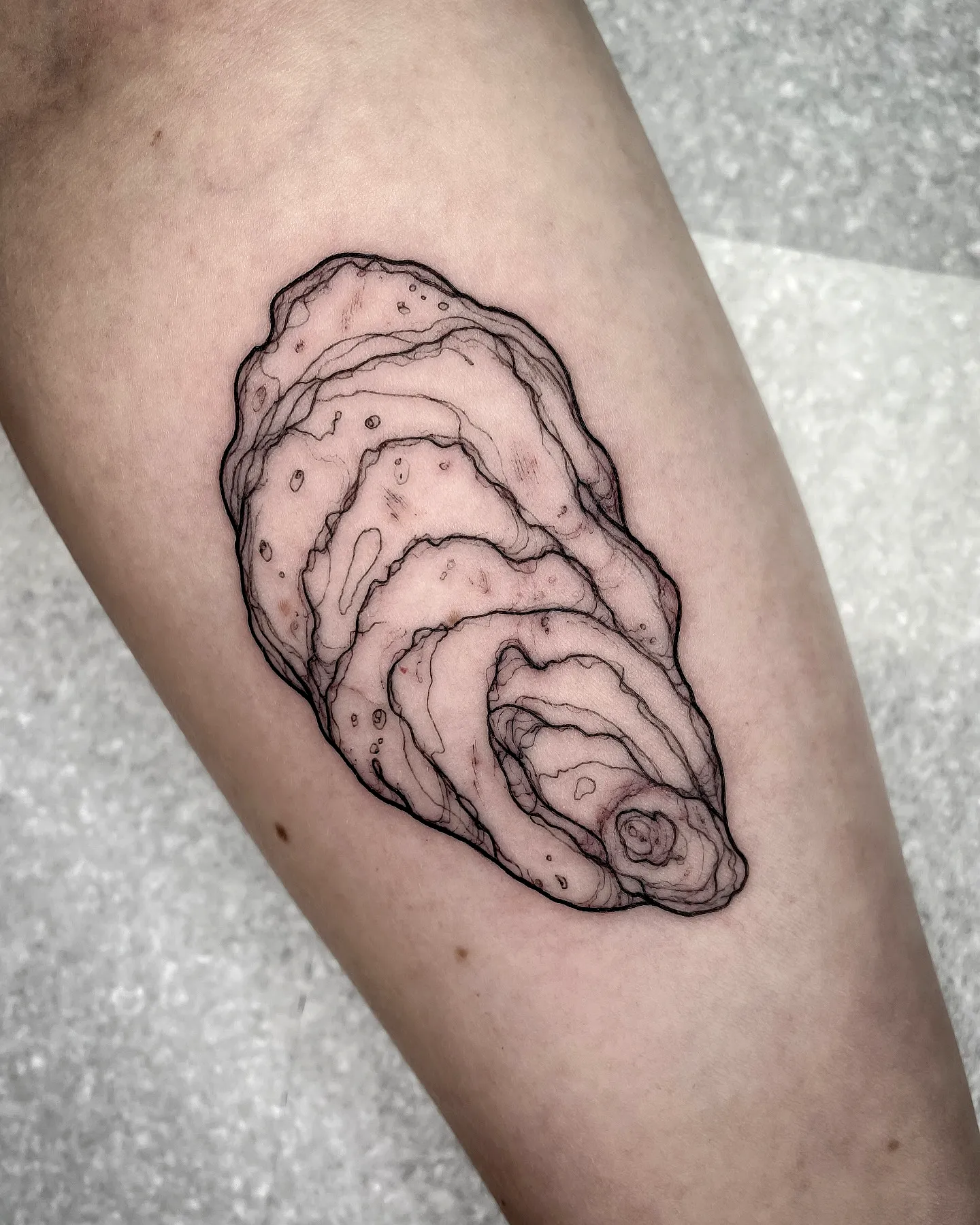 Oyster Forearm Tattoo with Soft Color Fill