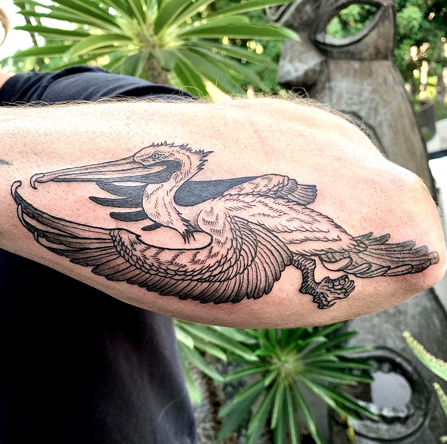 15 Striking Pelican Tattoos Ideas You’ll Love